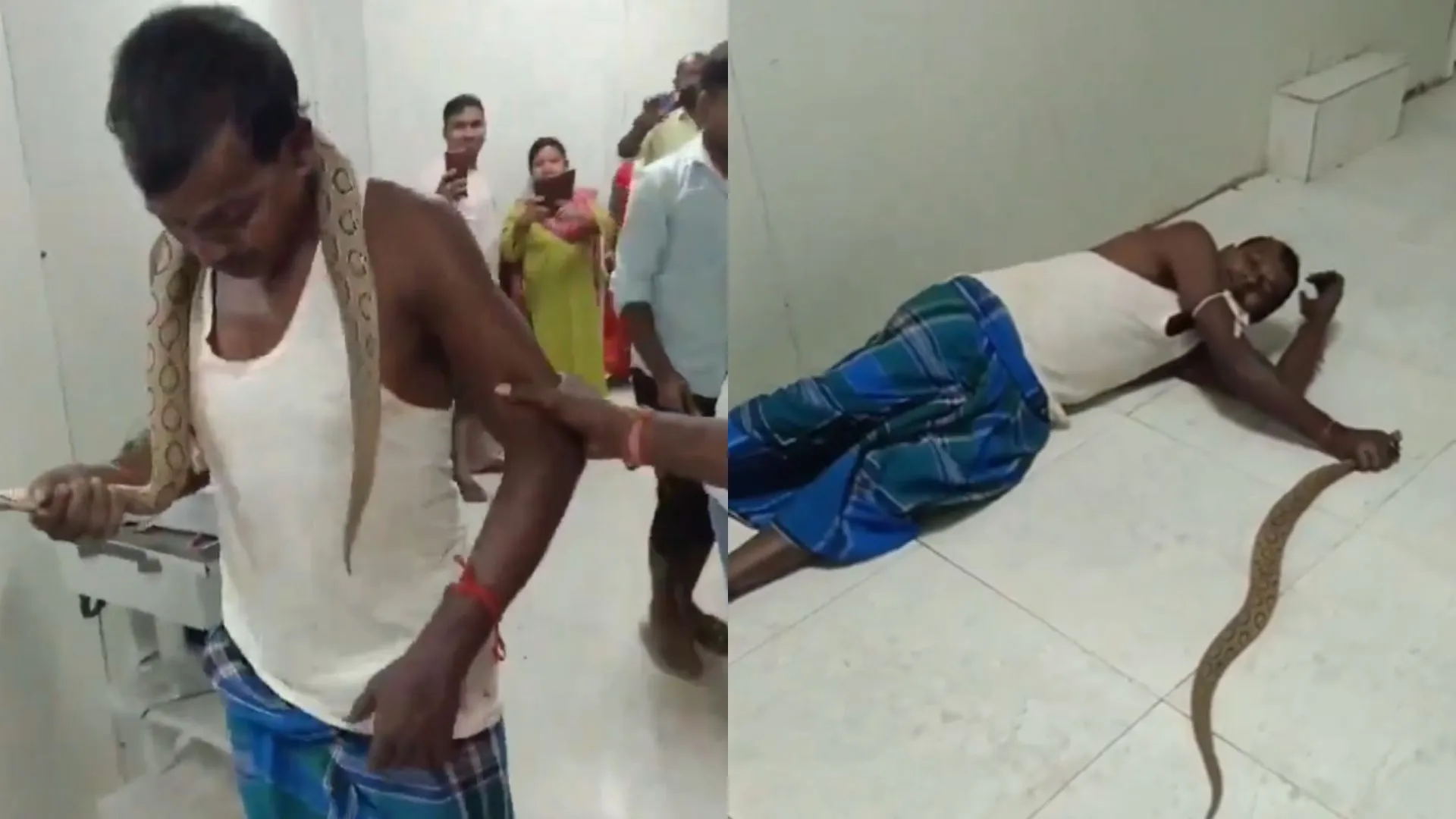 Watch: Bihar Man Brings Russell’s Viper Snake To Hospital After Being Bitten