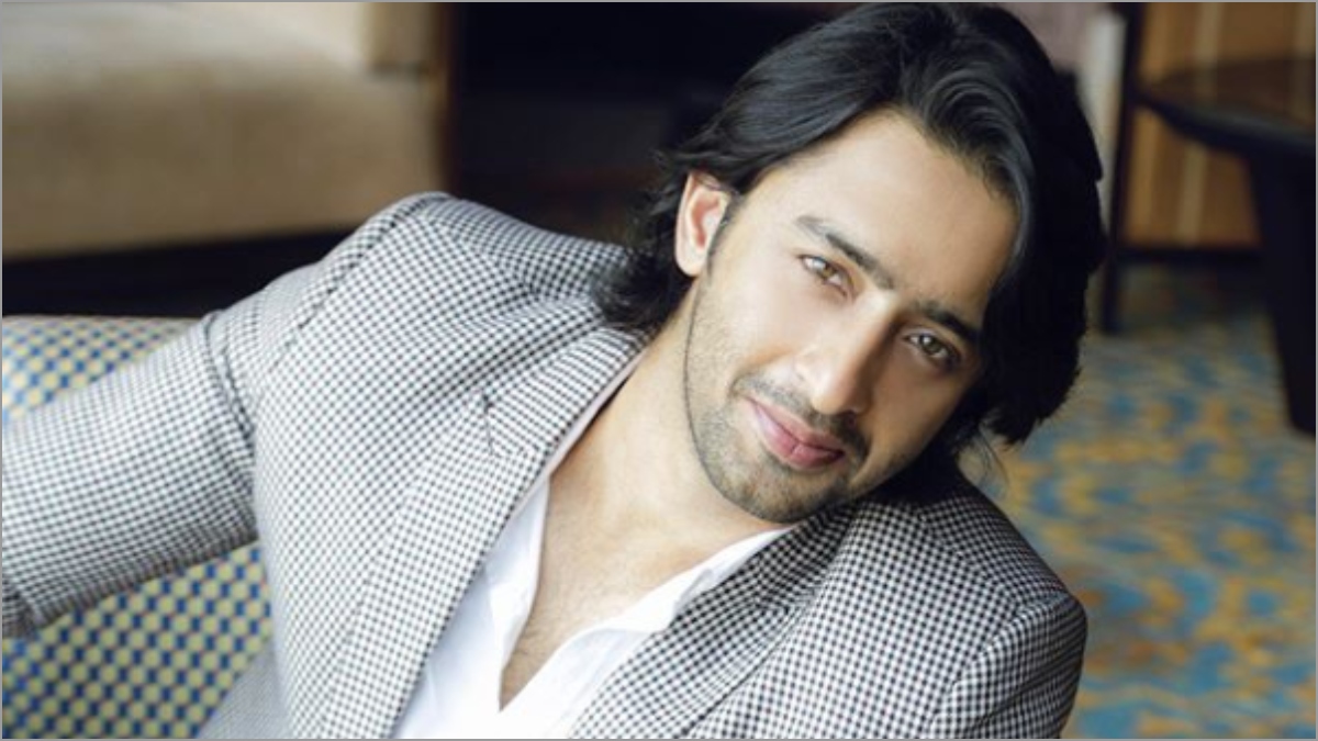 Yeh Rishtey Hain Pyaar Ke star Shaheer Sheikh to appear in a Yash Raj