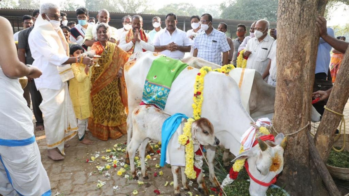 From Kashmir to Kanyakumari: “Gudiko Gomatha” programme, a cow for ...