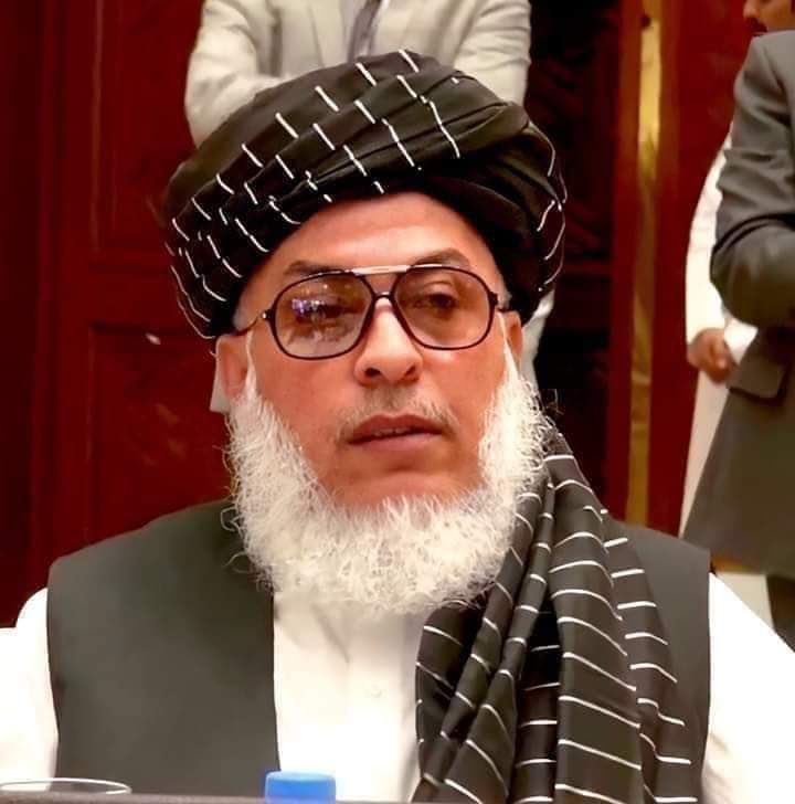 Taliban deputy foreign affairs minister warns Pakistan to not ‘force Afghans to react’