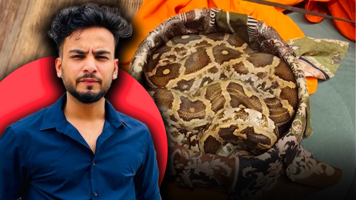 ED Issues New Summons to Famous YouTuber Elvish Yadav in Snake Venom Party Case