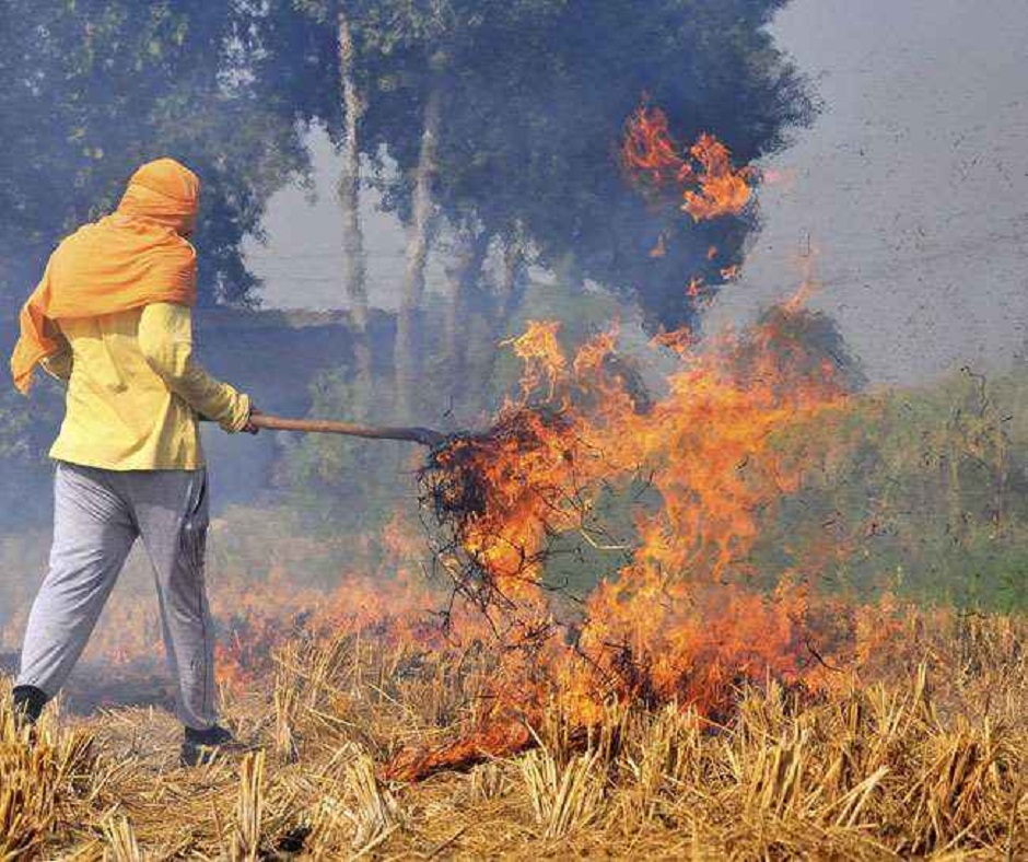 Punjab Witnesses Remarkable Reduction in Crop Residue Burning Across Top 10 Hotspots