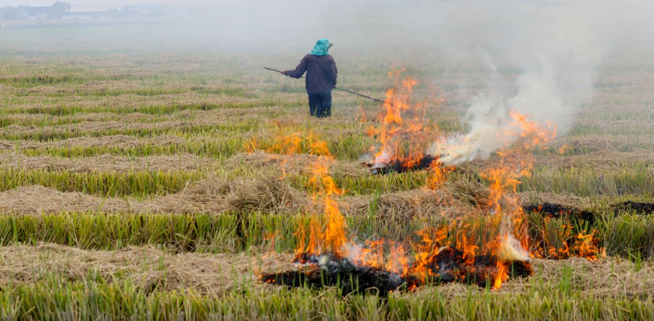 ‘We want stubble burning stopped’: SC to Punjab govt amid alarming pollution levels in Delhi-NCR