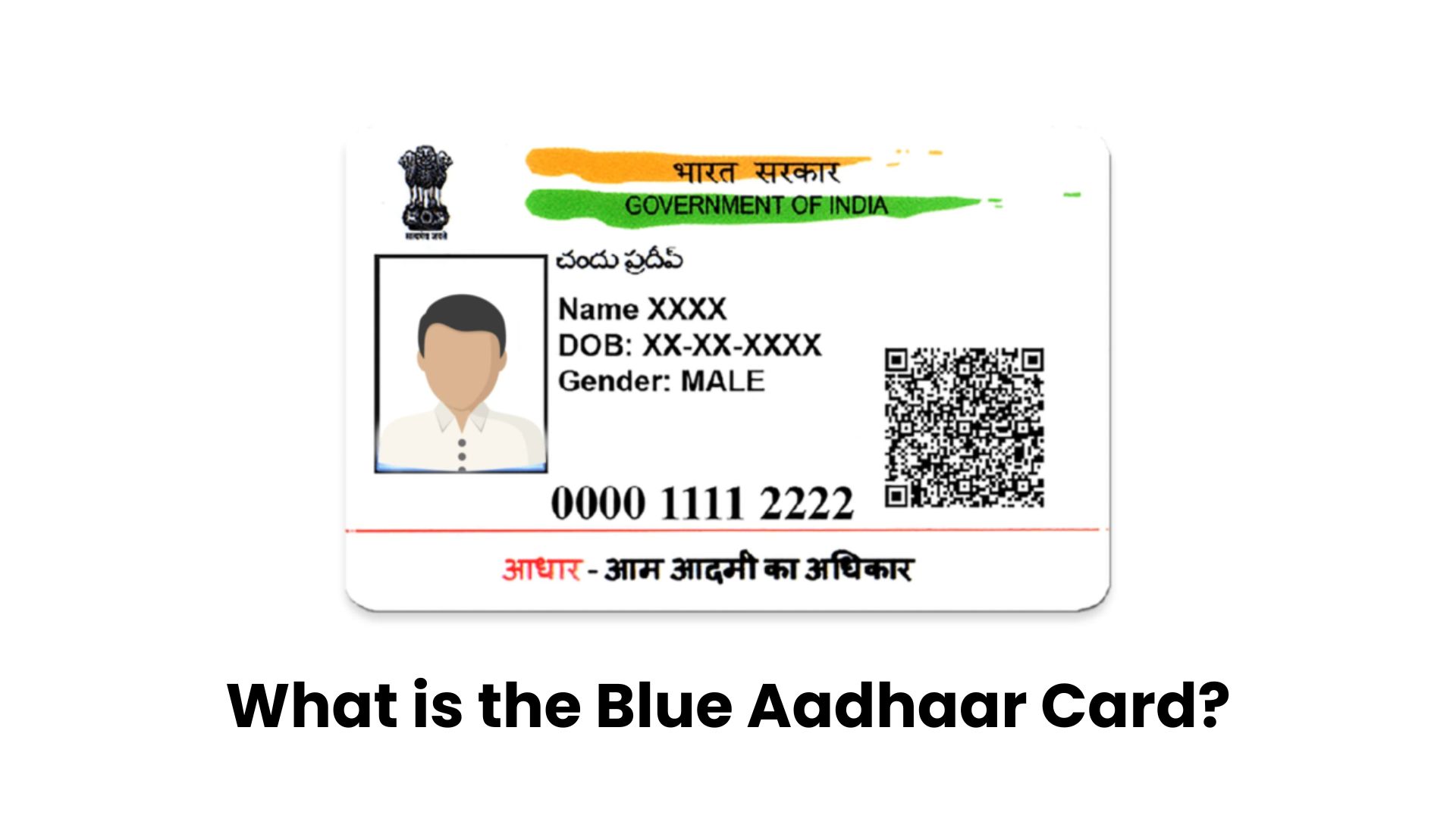 What is the Blue Aadhaar Card? How to Apply Online? Here’s A Step-by-Step Guide