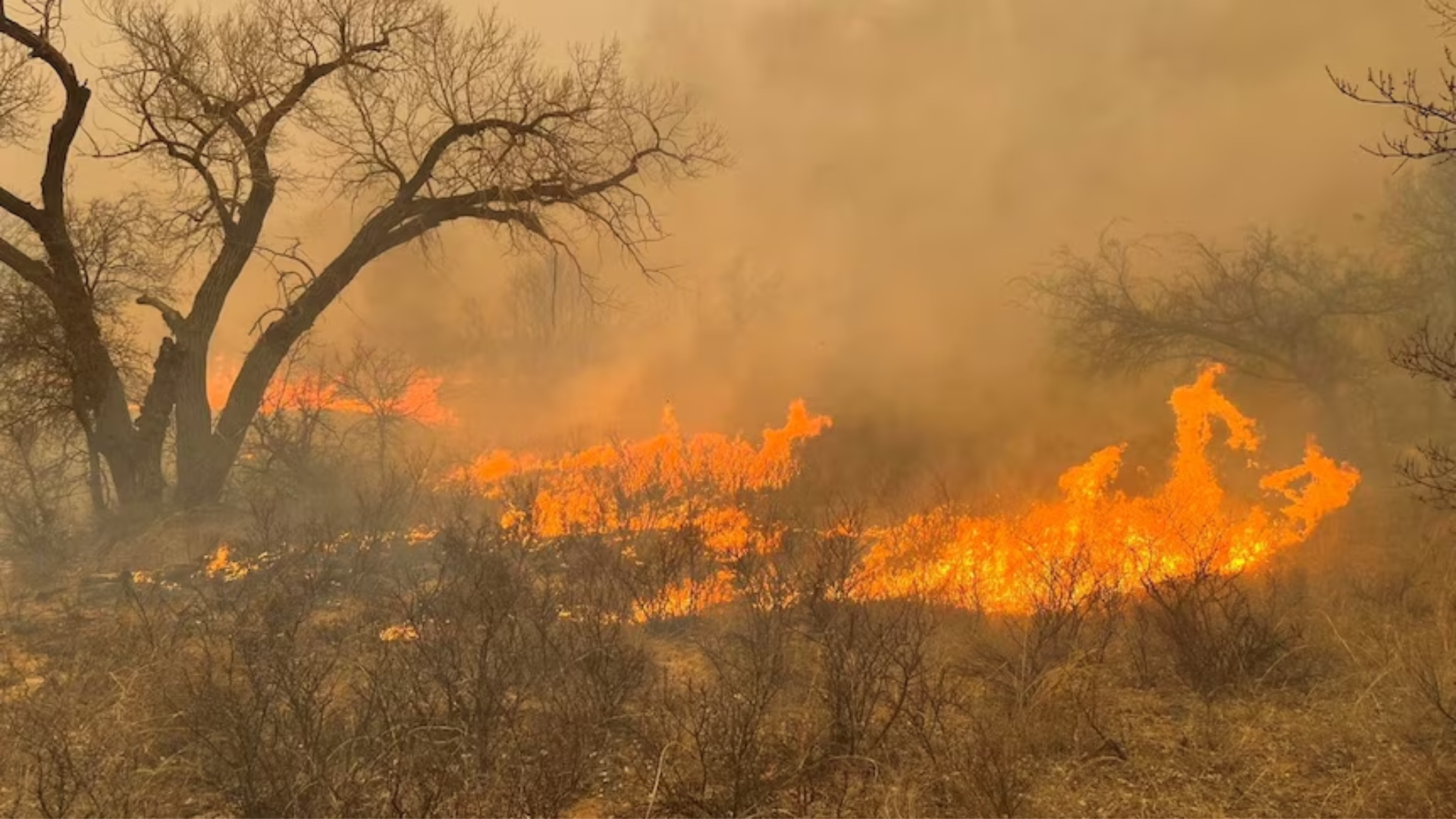 Evacuations Initiated as Wildfires Rapidly Spread Across Texas Panhandle