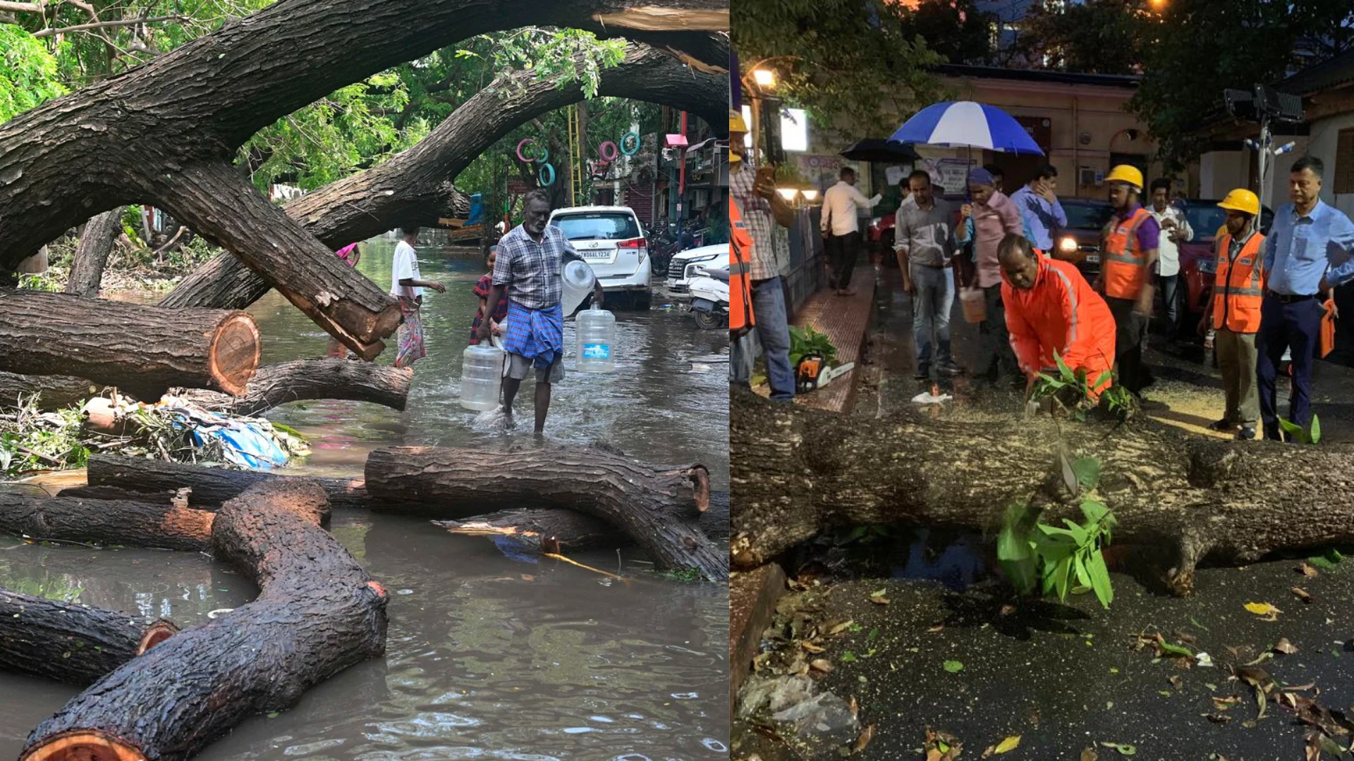 Cyclone Remal Hits Kolkata, Authorities Clear Uprooted Trees Amid Heavy Rainfall