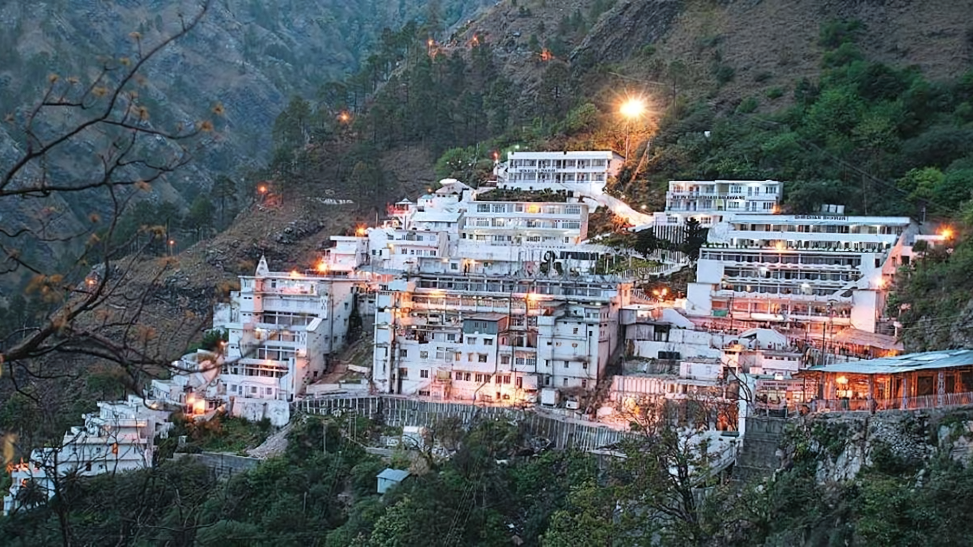 Plants To Be Served As Prasad In Mata Vaishno Devi Shrine