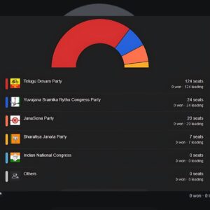 AP election results 2024