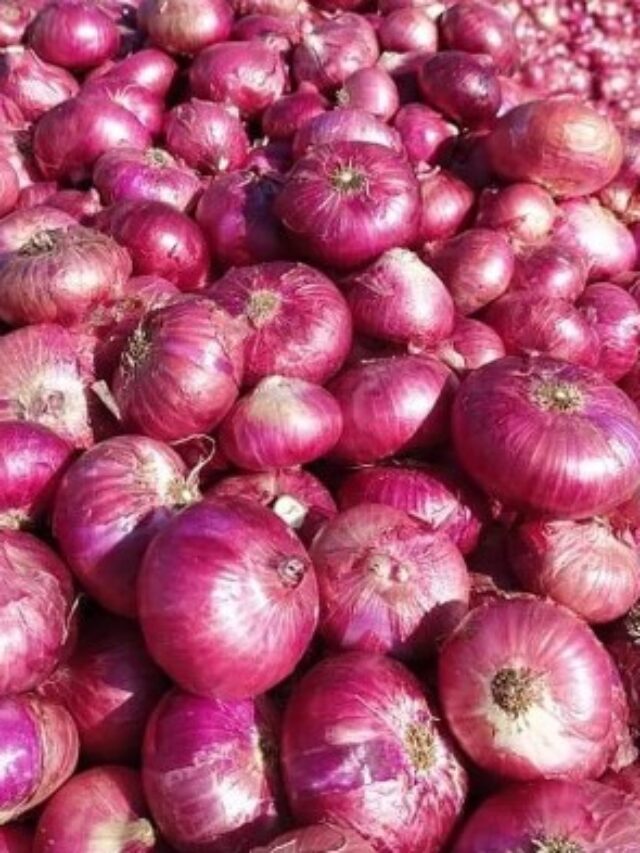 Onions Health Benefits