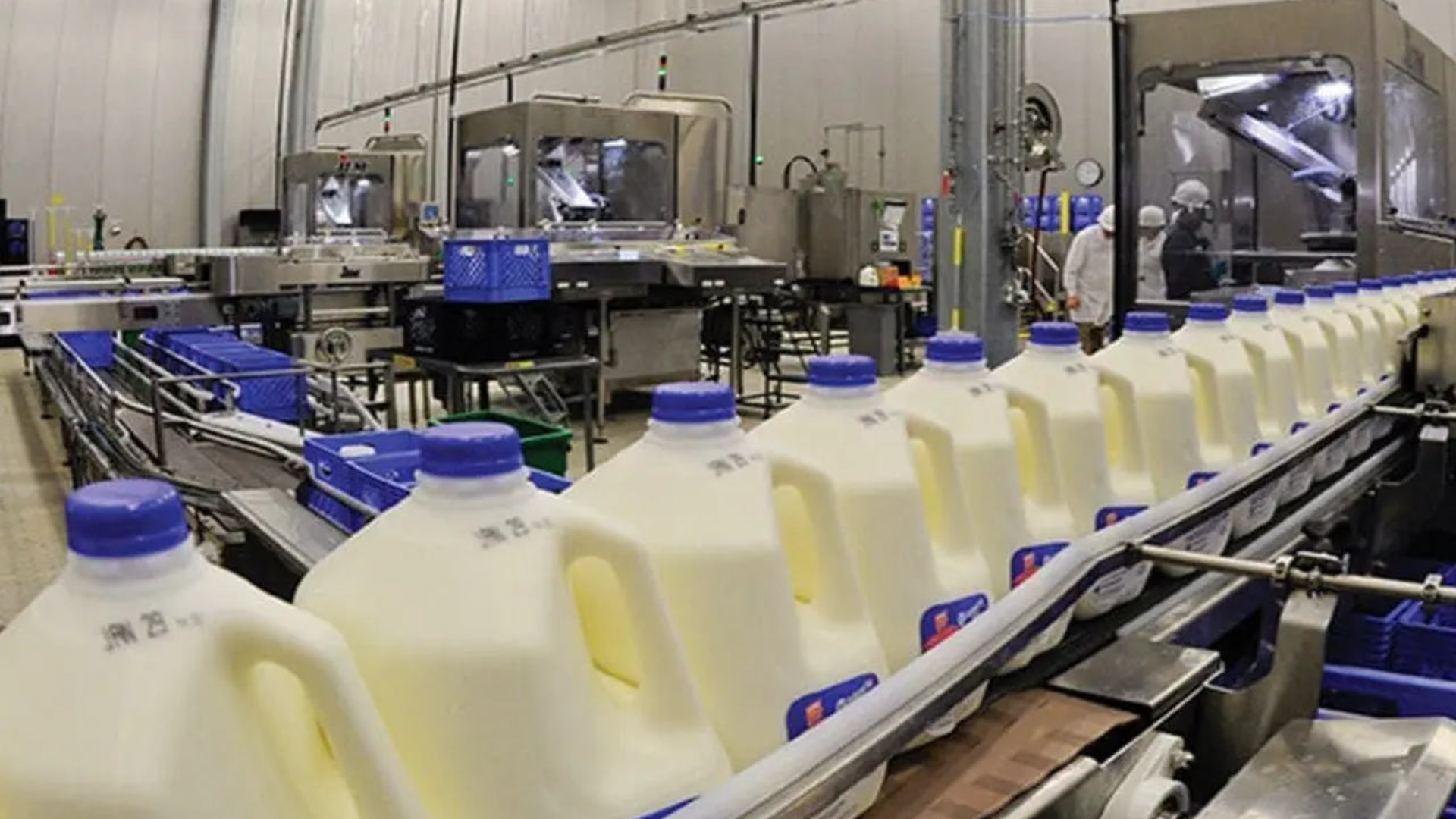 Himachal Pradesh Government Allots Rs 201 Crore For Dhagwar Milk Processing Plant