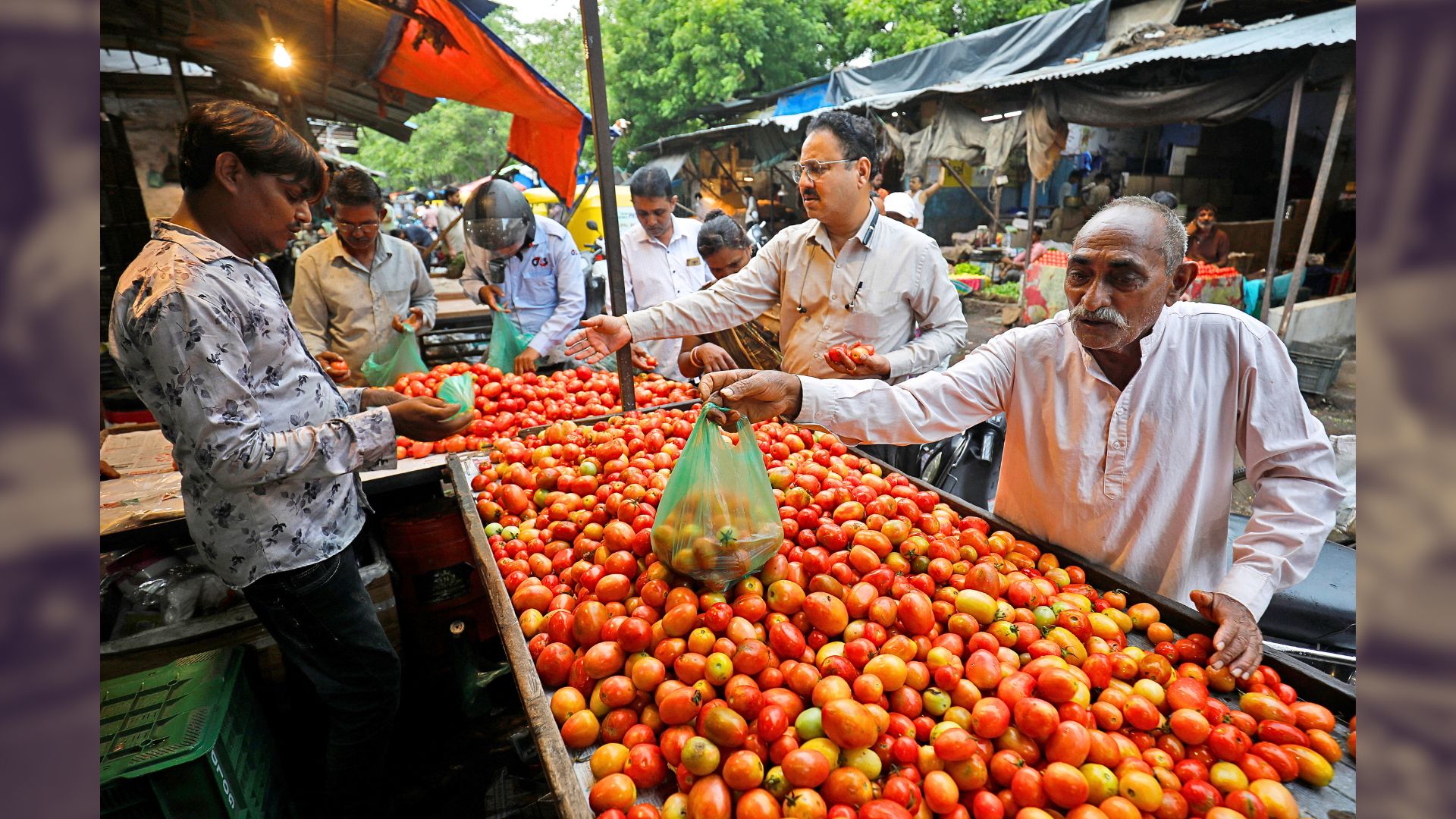 Tomatoes Sale At Rs 60/kg In Select Mumbai Locations, Following Delhi NCR