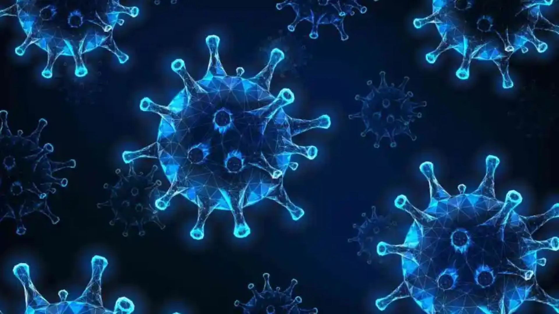 Chandipura Virus Claims Four Lives in Gujarat, Officials Report