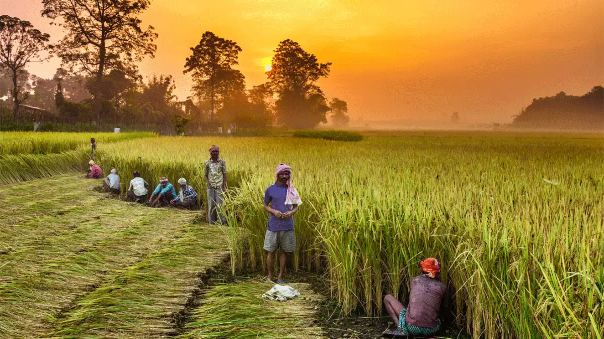 Free Electricity Scheme for Farmers: Registration Deadline Extended to July 31