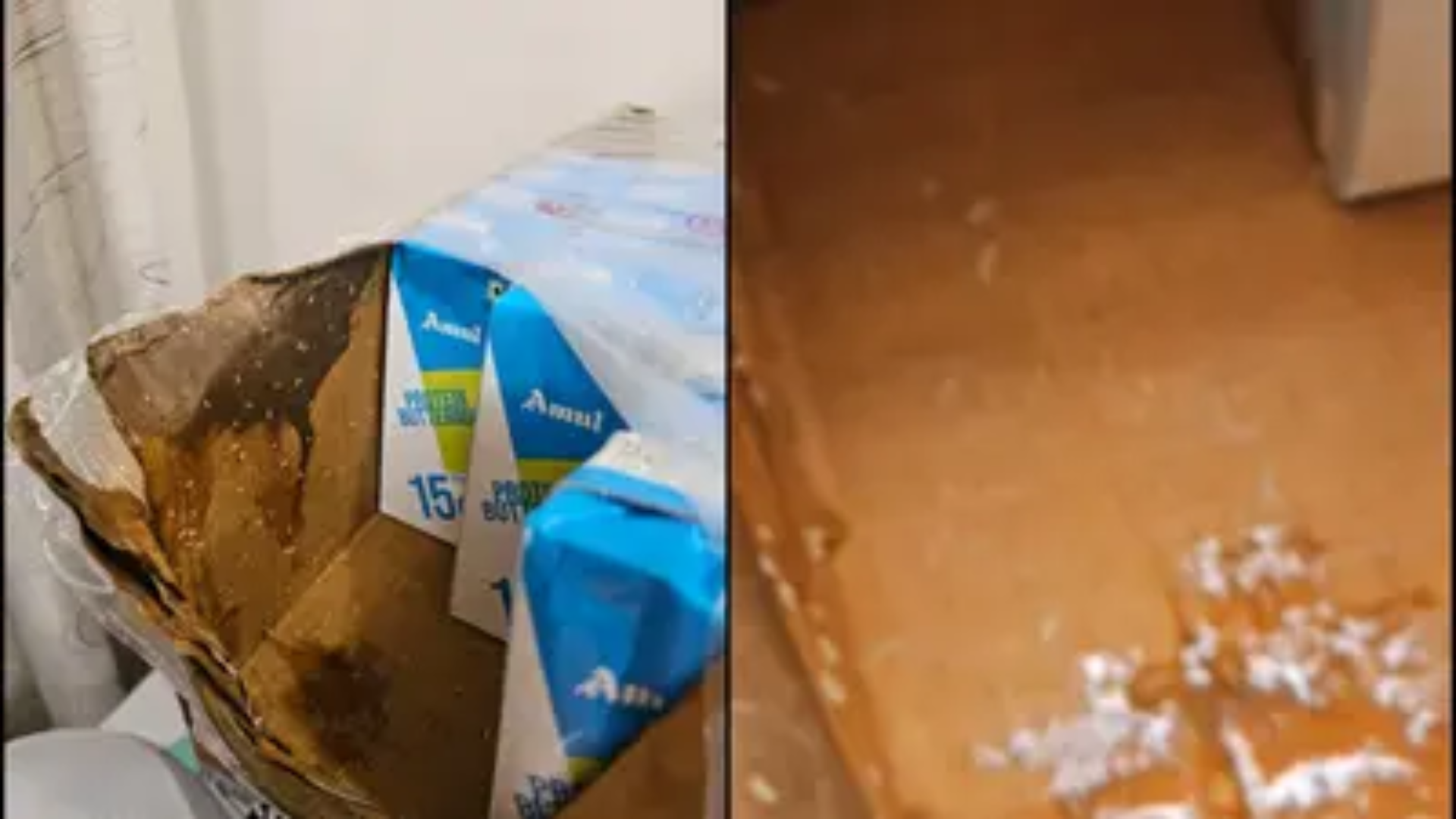 Man Finds Live Worms in Amul Buttermilk Ordered Online, Sparks Industry Concern