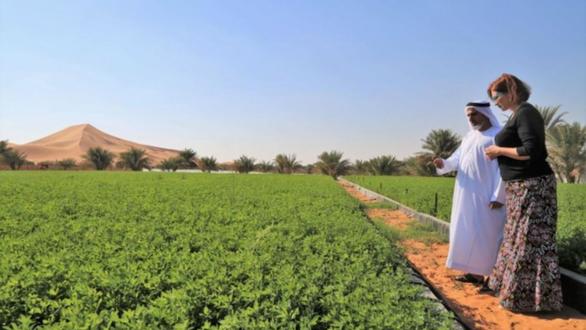 Israel Plans $2.7 Million Investment in Arab Agricultural Infrastructure