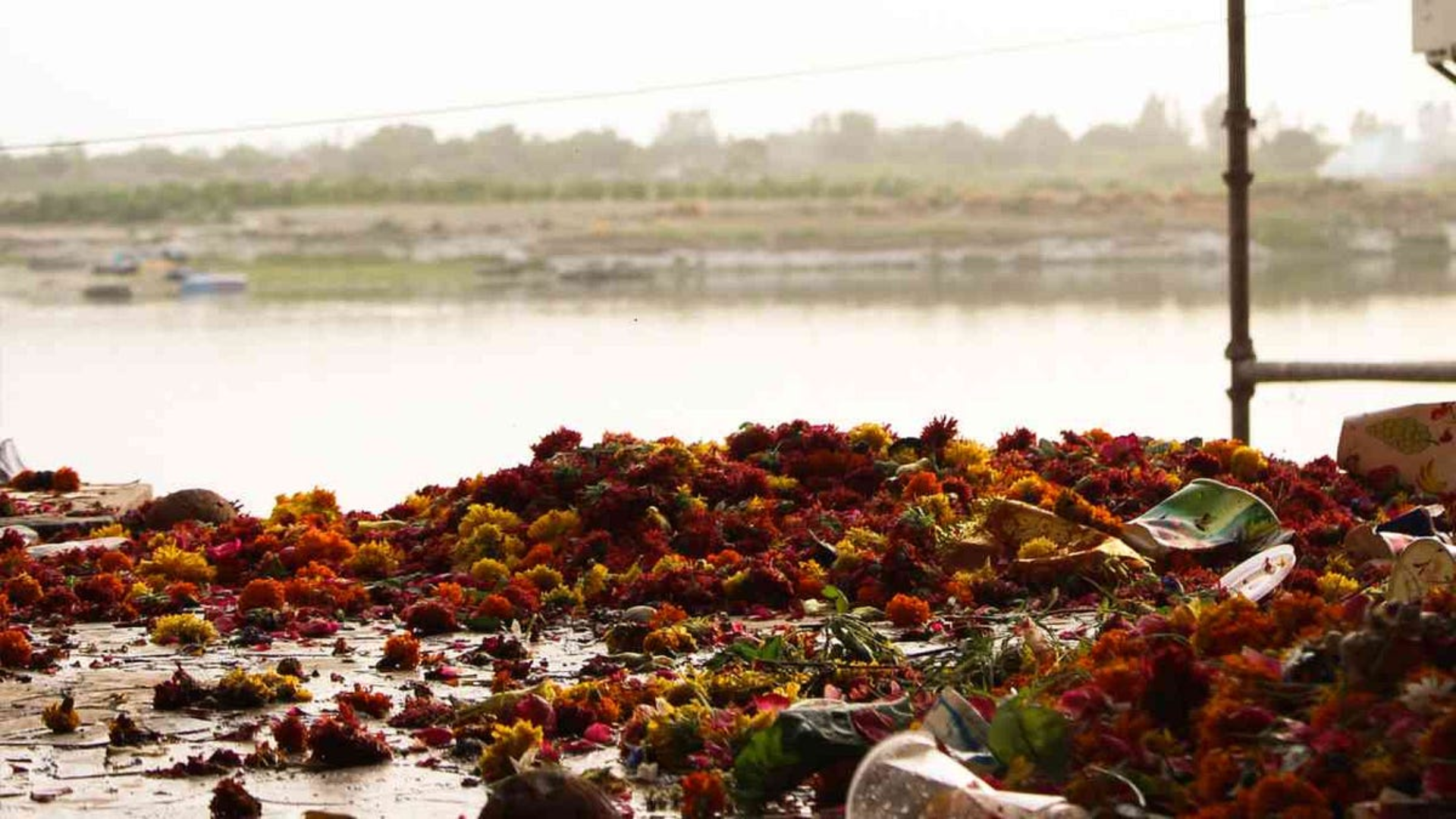 Floral Waste Fuels Circular Economy in India