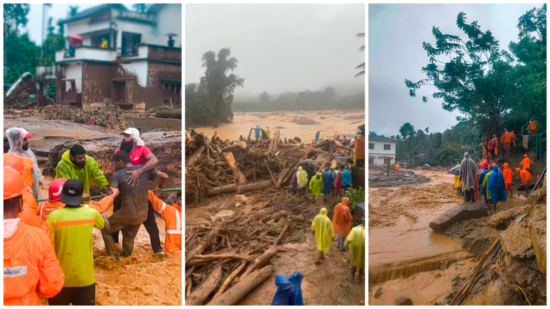 Watch Video: Monsoon Landslides in Wayanad Claim 43 Lives; Rescue Efforts Intensify Amid Challenges