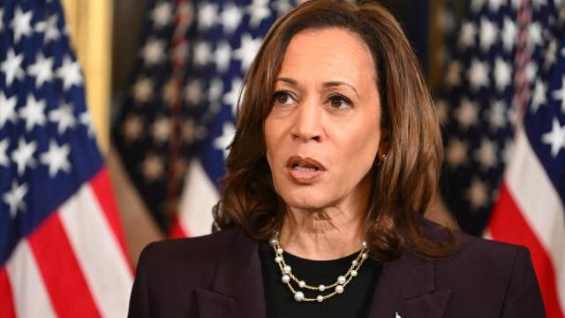 Kamala Harris Vows to Triumph Over Trump’s “Wild Lies” with “Underdog” Campaign