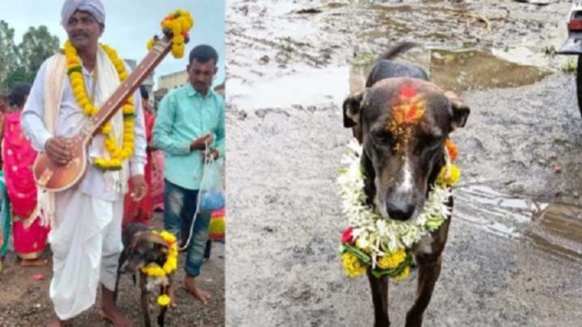 Miraculous Return of Lost Dog Celebrated in Karnataka Village