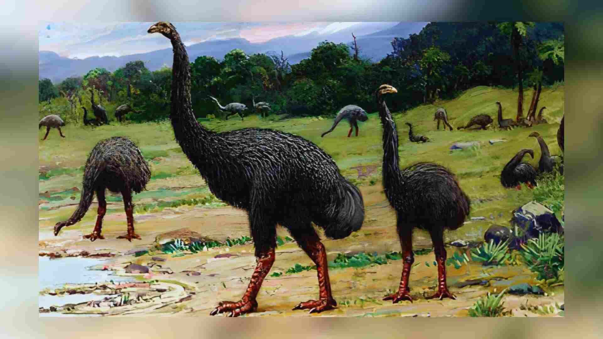 Revealing The Moa Mystery: Lessons From New Zealand’s Extinct Giants To Protect Today’s Flightless Birds