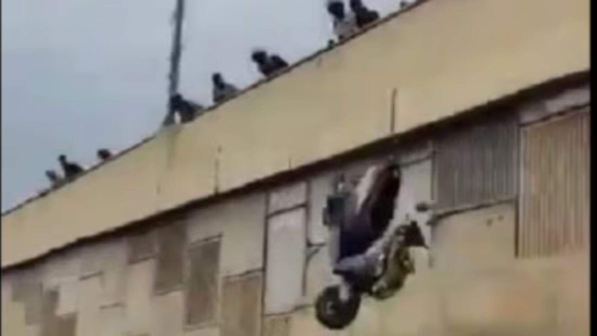 Bengaluru Residents Express Outrage Over Bike Stunt Performers, By Throwing Scooters From Flyover