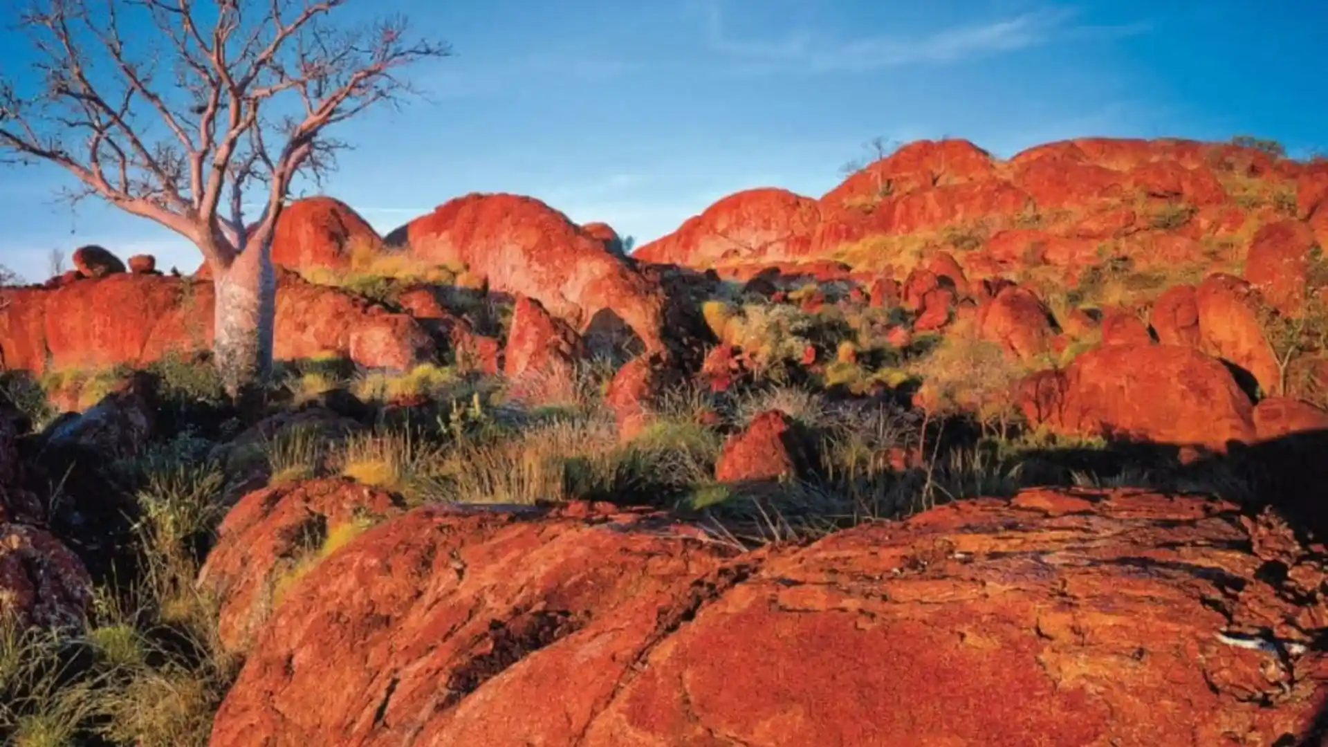 Australia Hits New Winter Heat Record: 41.6°C In Remote Northwest