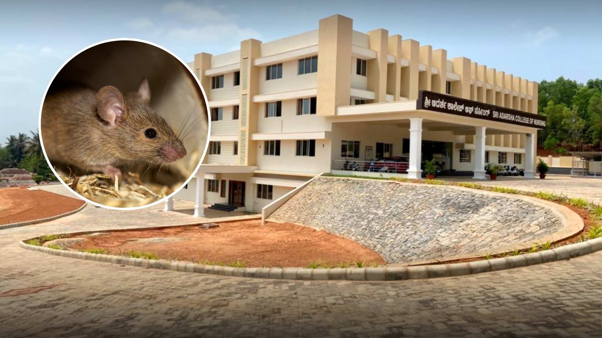 19 Bengaluru Nursing Students Hospitalized After Rat Repellent Causes Breathing Issues