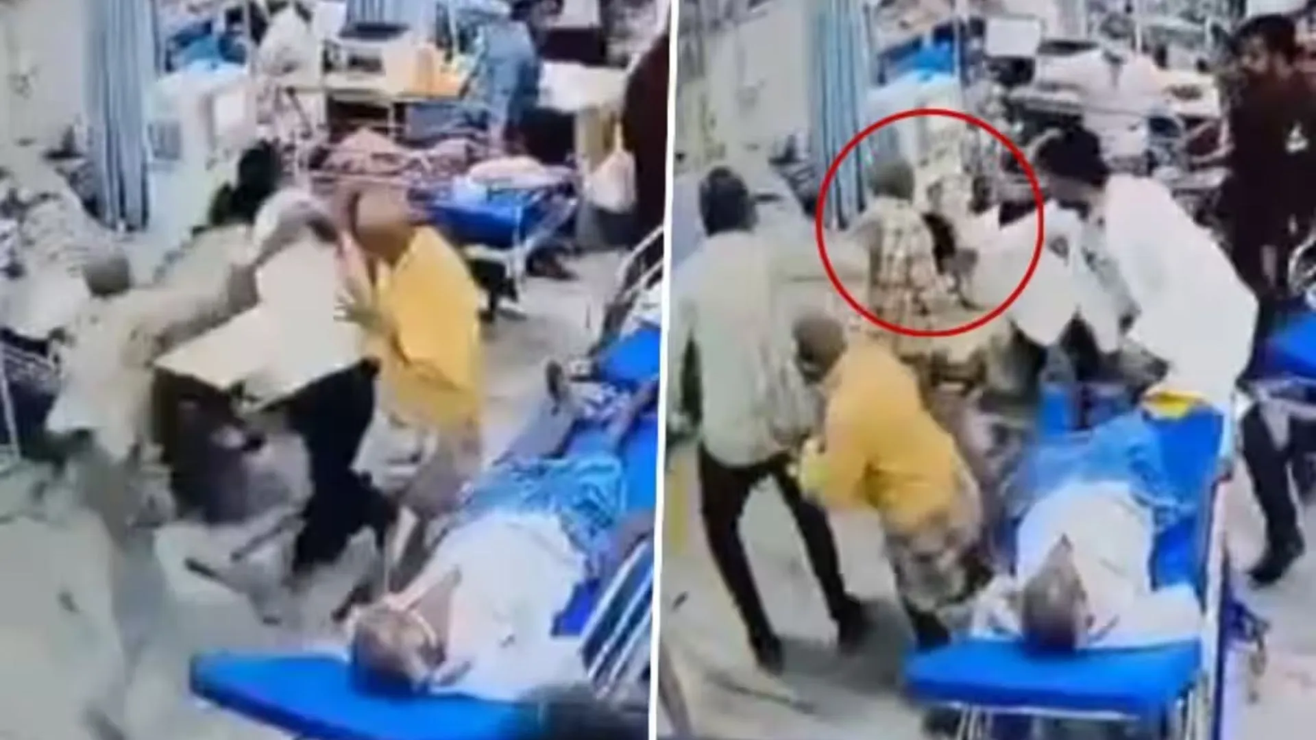 Watch: Patient Assaults Female Doctor By Grabbing Hair and Banging Head at Andhra Hospital