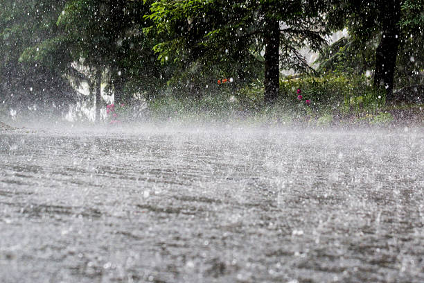 MCD School Wall Collapses Amid Heavy Rain, Two Injured