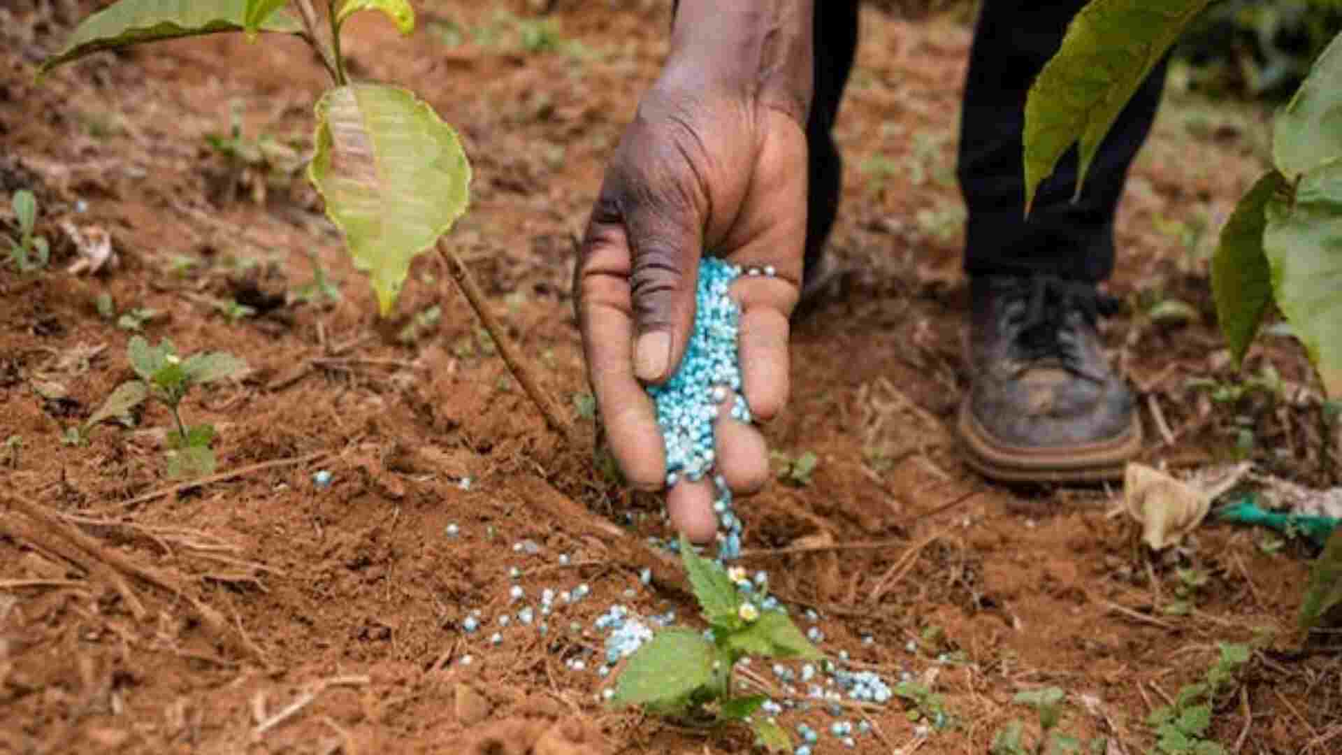 Crisil Projects India’s Urea Import Dependency to Fall to 10-15% From 30%