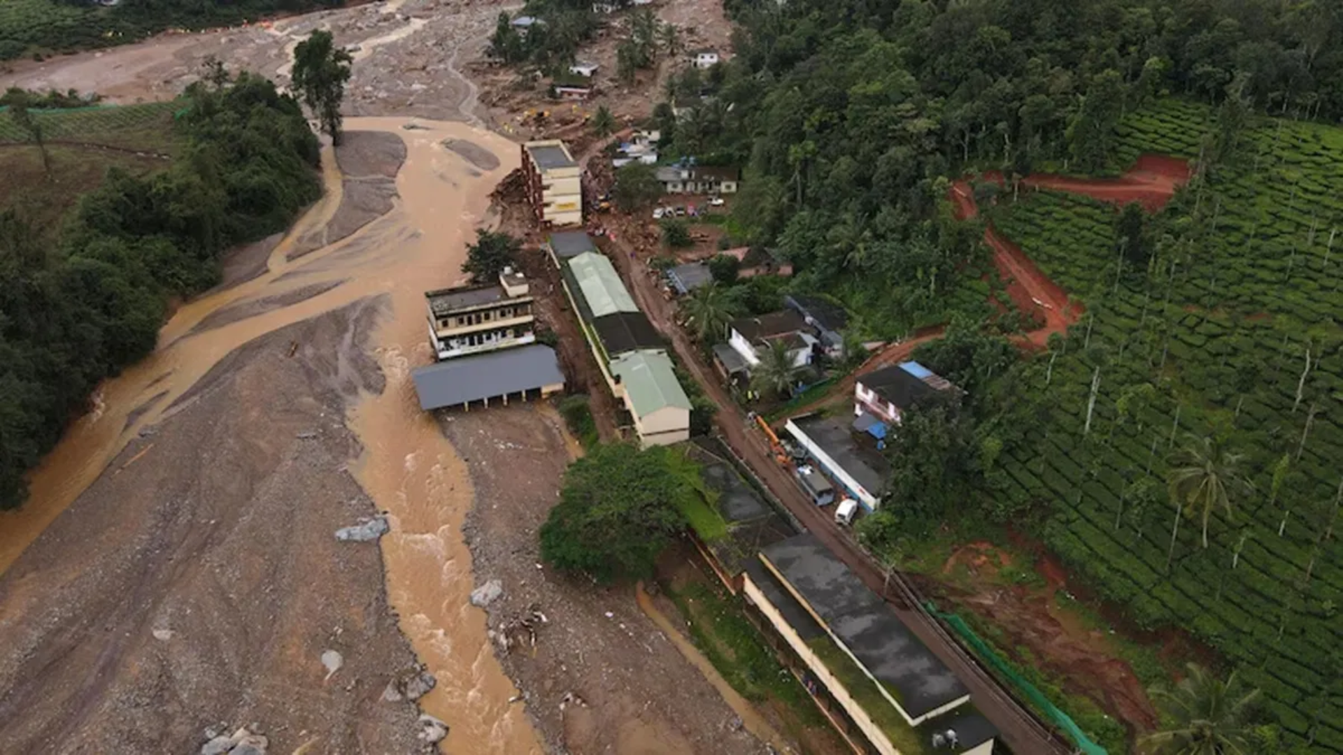 Wayanad Landslide: New Draft to Declare Western Ghats Ecologically Sensitive After Disaster