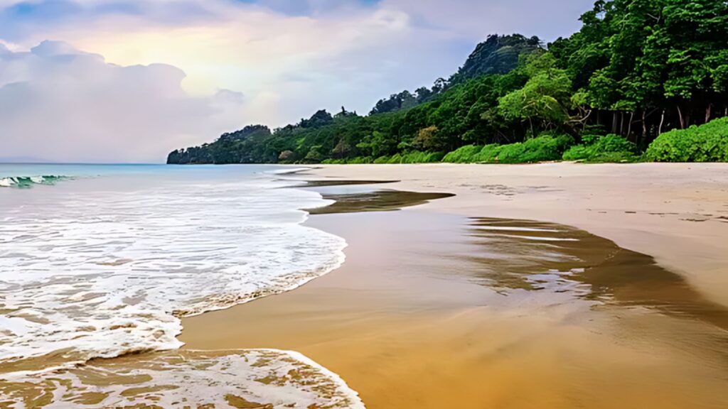 Andaman & Nicobar Islands