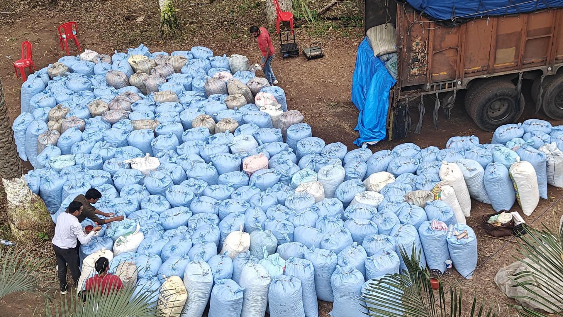 Jharkhand: NCB Seizes 4,317 kg of Poppy Straw, Arrests Three in Major Drug Bust