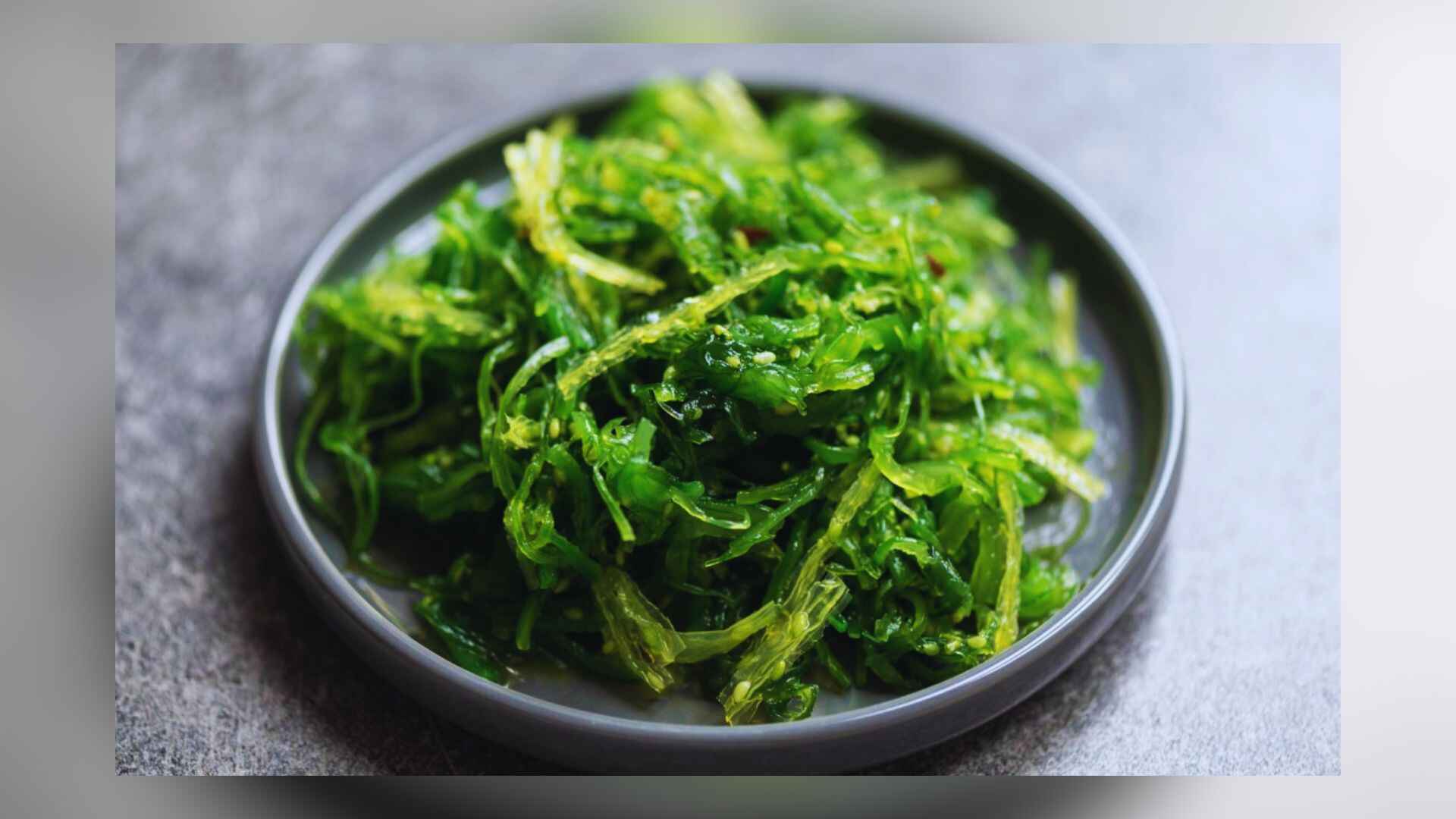 Breakthrough In Parkinson’s Disease Prevention: Seaweed Antioxidants Show Promise