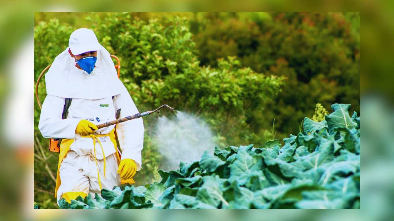 Pesticide Exposure Linked To Higher Risk Of Stillbirth: New Research Reveals