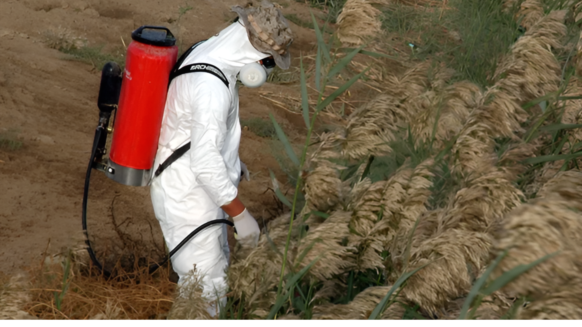 Study Reveals Link Between Pesticide Exposure And Increased Stillbirth Risk