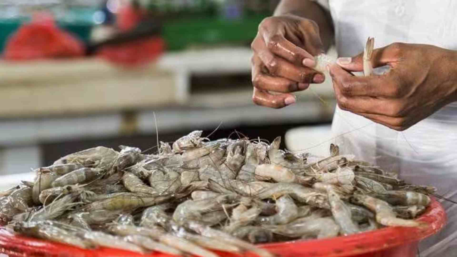 India’s Seafood Industry Sees 30.81 % Growth In Five Years