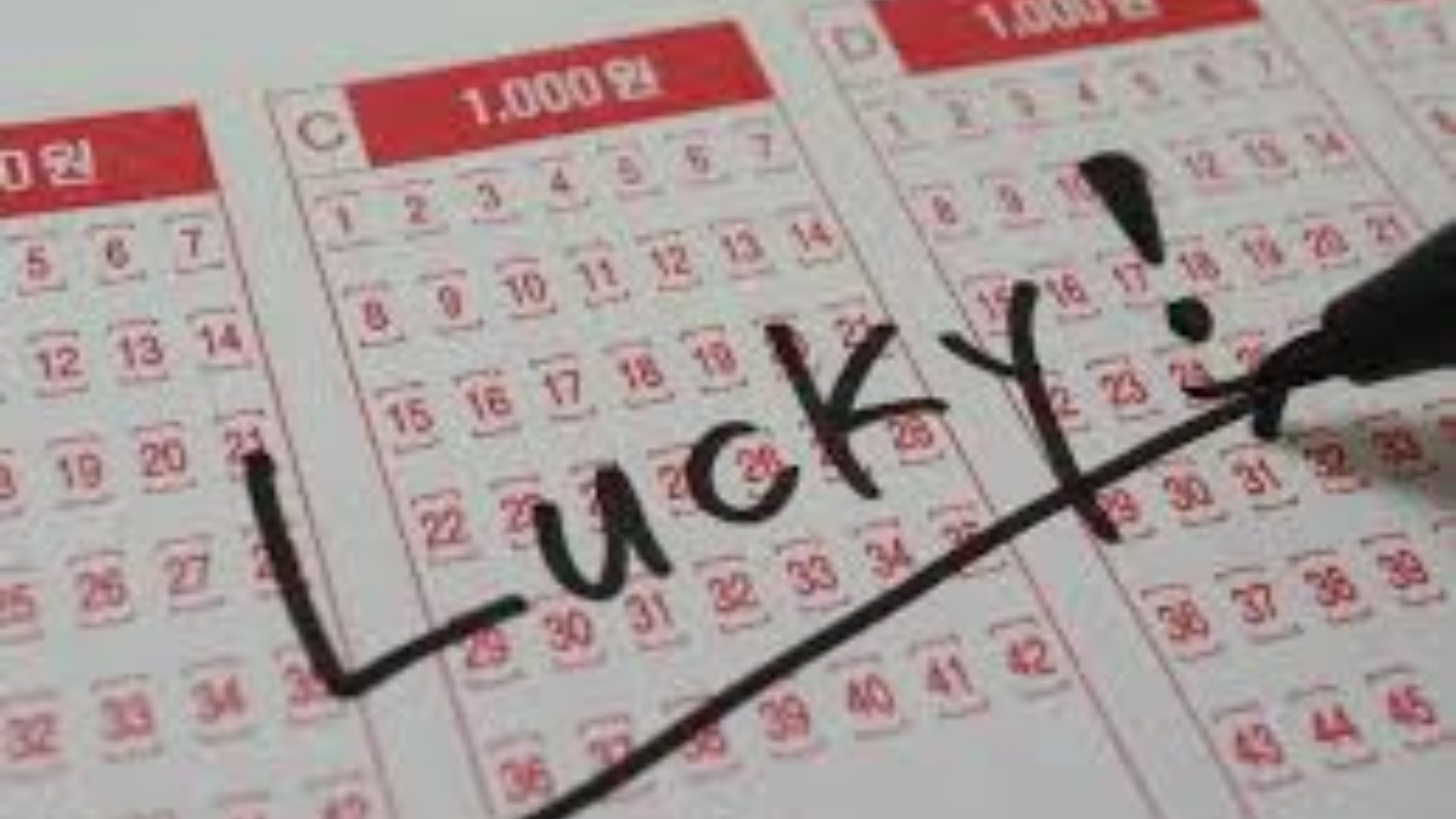 US Man’s Prediction Proves Right With Winning 1 Crore Jackpot