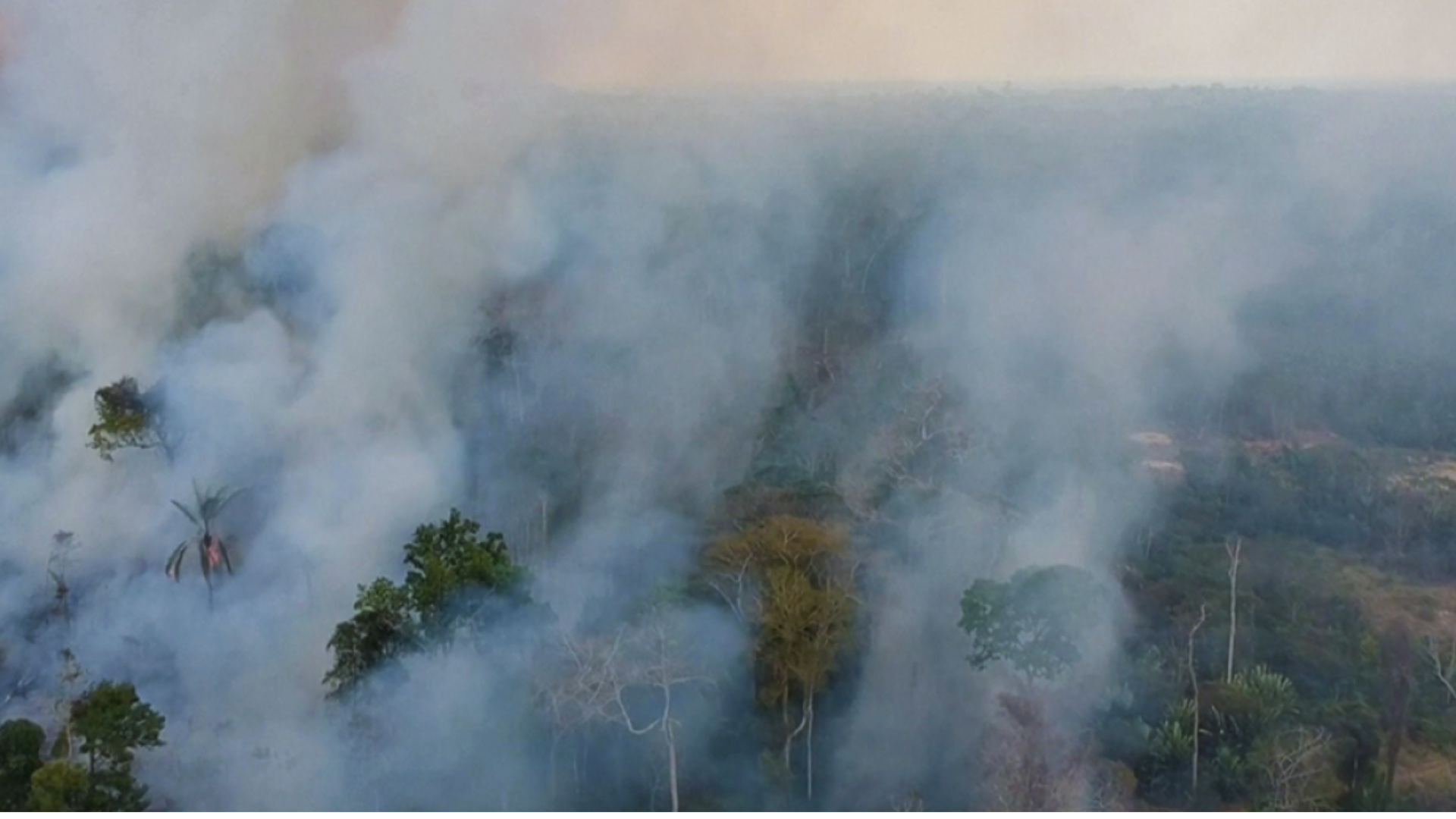 Brazil’s Wildfire Crisis: 30 Cities Affected And 2 Confirmed Dead