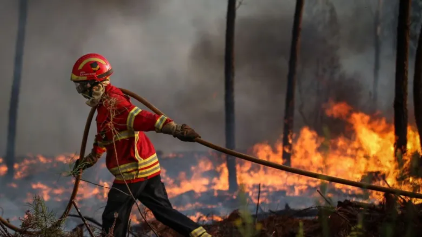 80 Bombeiros Especiais Chegarão à Madeira para Combater Incêndio