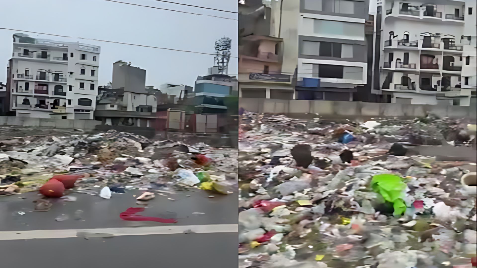 Viral Video: ‘What Are We Paying Taxes For?’ Woman’s Video Sparks Outrage As Delhi Road Turned Dumping Ground