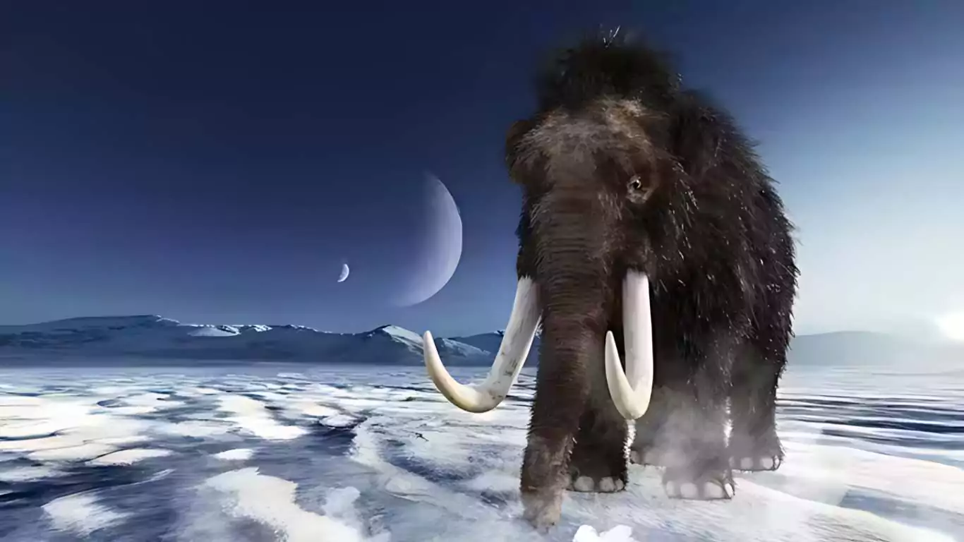 Woolly Mammoths Extinction Mystery: New Study Offers Fresh Insights Into the Extinction Of The Species on Wrangel Island