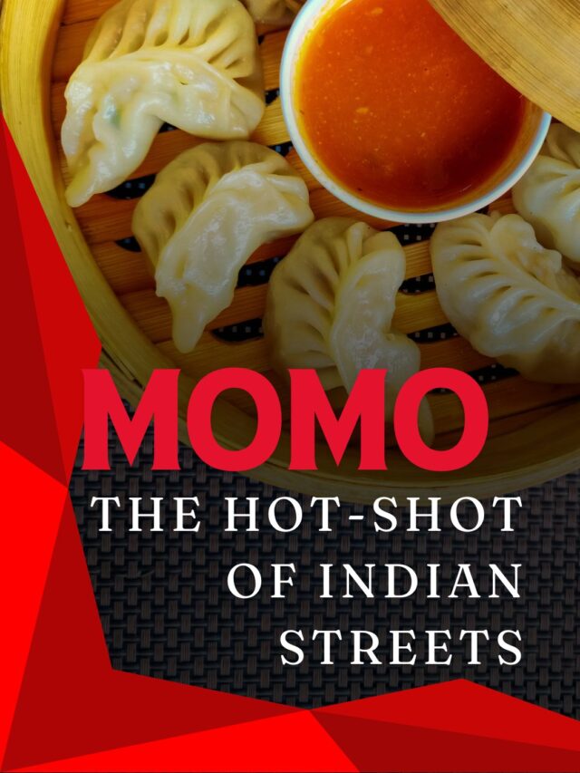 From Tibet To India: Journey Of Momo