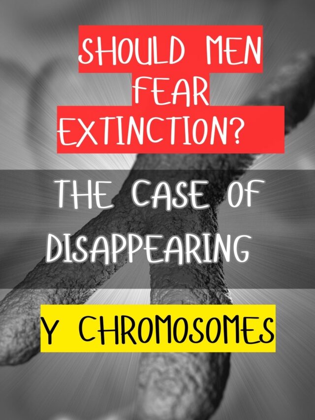 Y Chromosome Disappearing, Will Men Be Extinct?