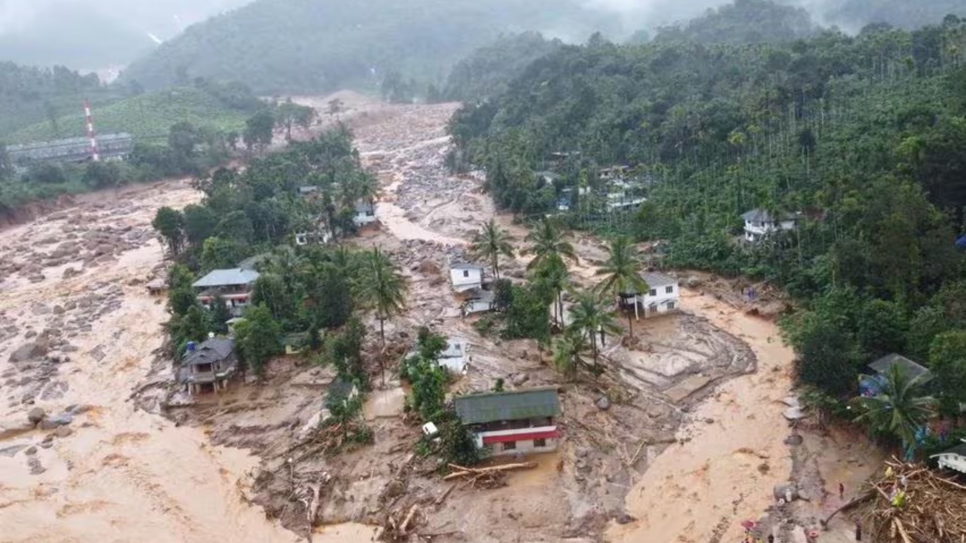 Wayanad Landslide: Death Toll Surged To 256, 220 People Remain Missing