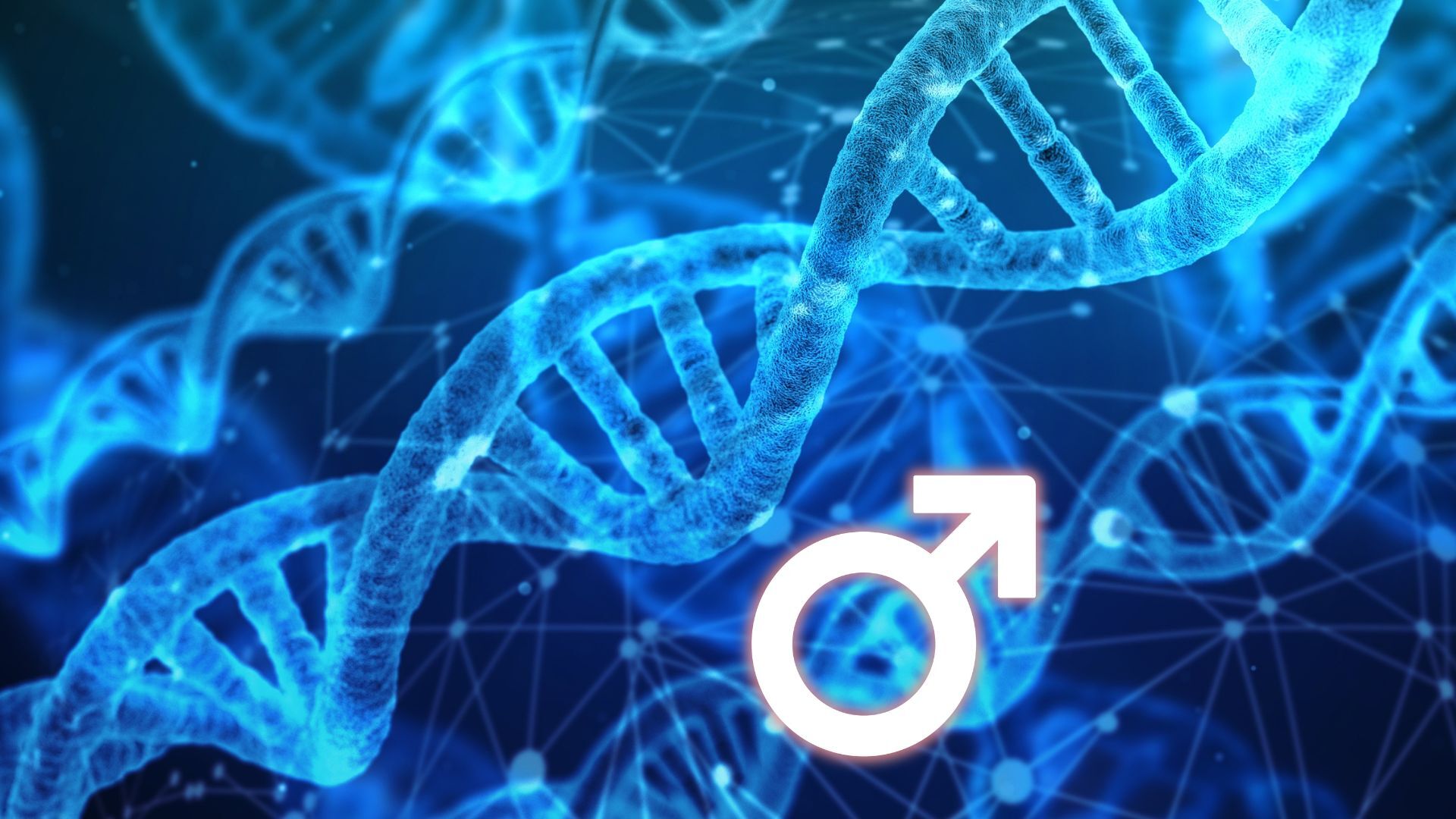 Uitsterven van het Y-chromosoom: Wat betekent dit voor de toekomst van mannen?