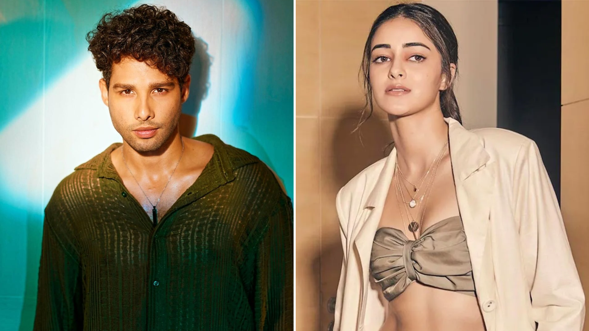 Siddhant Chaturvedi Reacts To Ananya Panday’s Reference To Their VIRAL Struggle Dialogue In Call Me Bae’s Trailer