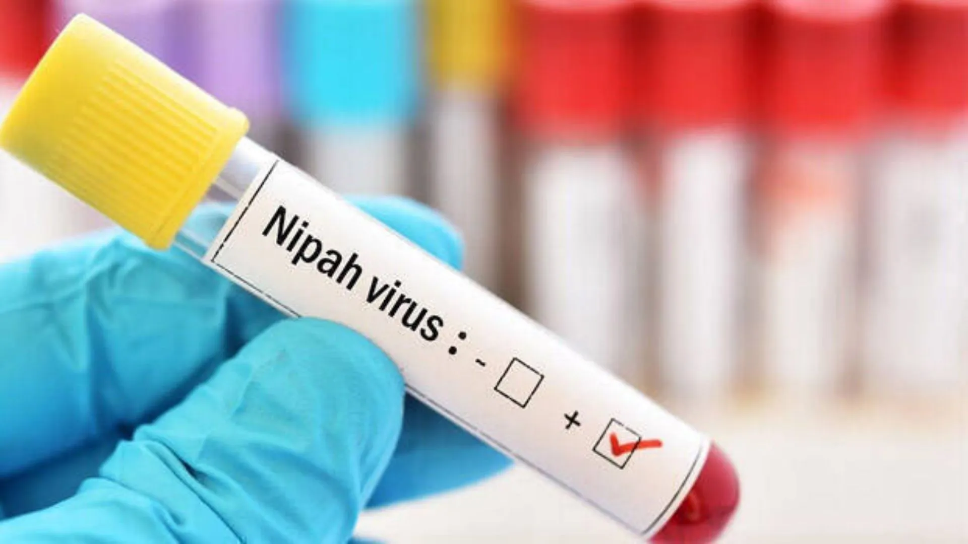 Nipah Outbreak: 175 Contacts Identified, 126 In High-Risk Category, Reveals Health Minister Veena George