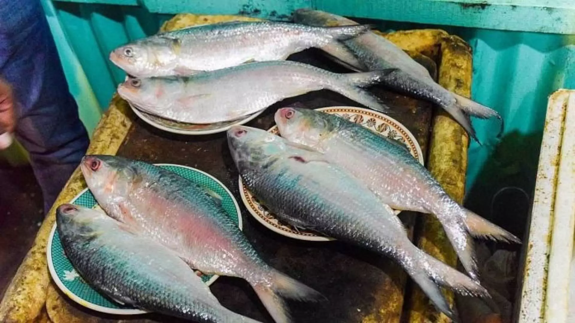 Bangladesh Makes U-Turn, Reverses Ban On Hilsa Fish Export To India Ahead Of Durga Puja