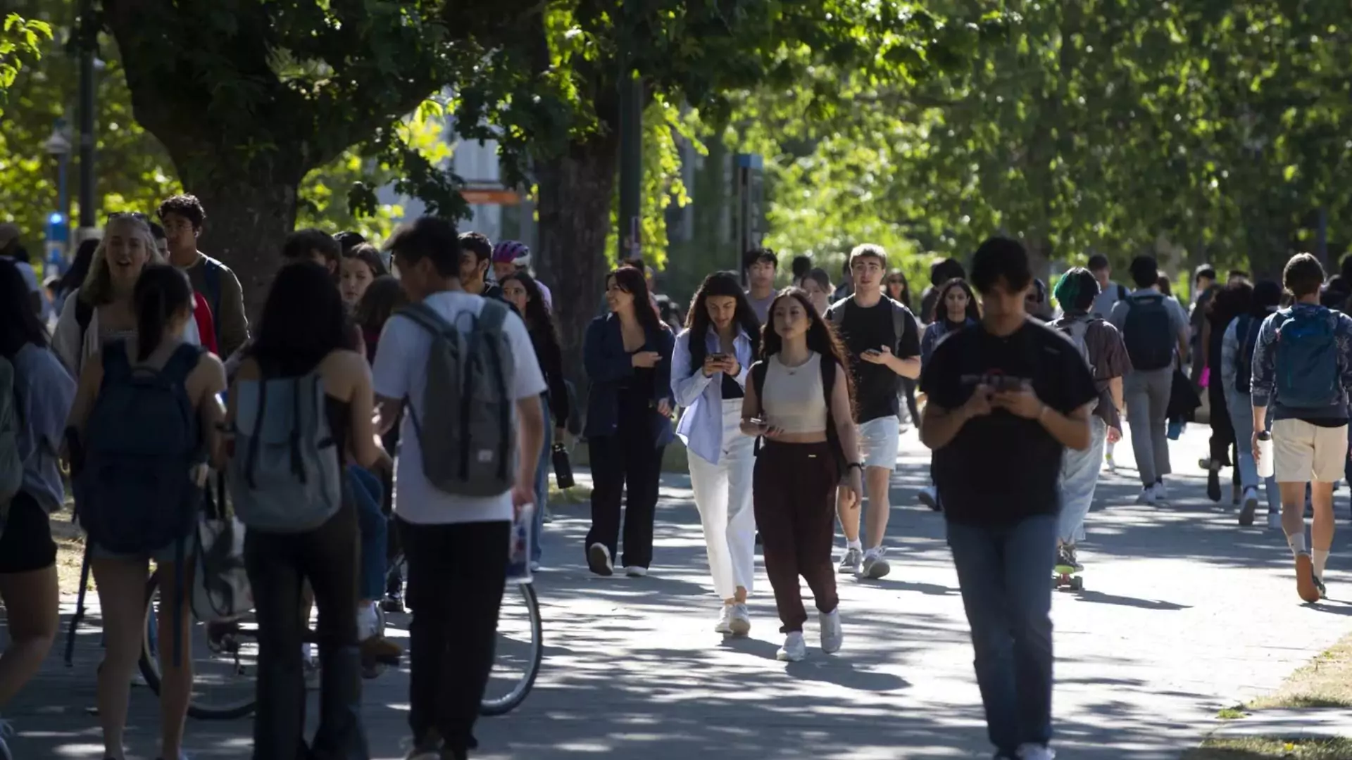 Why Is Canada Further Cutting International Student, Foreign Worker Permits?